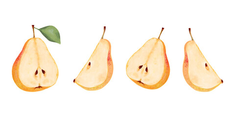 Collection of yellow pears. Fruit halves and pieces. Botanical watercolor and marker illustration. Hand drawn isolated art. Clip art of ripe fruits from tree. Vegetarian products. Organic food sketch