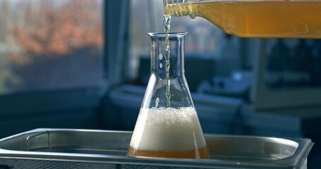 Super slow motion macro of lab worker pours beer into glass ware for quality testing, ensuring it meets production standards. The beer is carefully inspected in brewery with precision and dedication.
