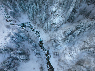 mountain river with fir trees in snow, view from above
