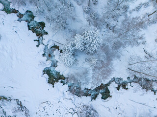 mountain river with fir trees in snow, view from above