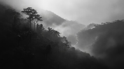 Misty mountains shrouded in fog with dark trees creating an atmospheric scene of nature's beauty and mysterious weather conditions.