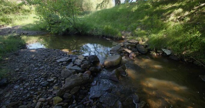 wide shot of Fairy call beck stream in dappled shade