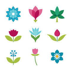 Flowers collections Set for business branding in white background