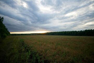Field after harvesting grain on a cloudy day