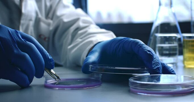 Super slow motion close up of DNA sample substance molecules being added by scientist to petri dish during biochemical analysis of experimental data research in laboratory at 1000 fps