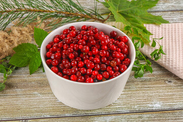 Natural organic wild forwst lingonberry