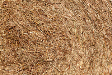 detail of bale of straw