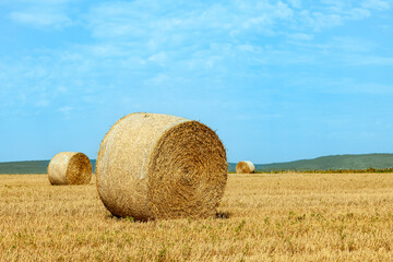 bale of straw on field