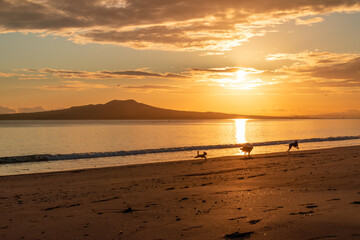 Milford Beach New Zealand Sun Rise