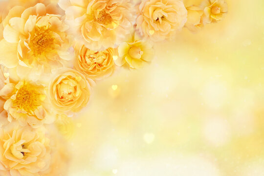elegant yellow rose flower frame background for Valentine&rsquo;s Day and wedding cards with soft romantic vibes and copy space   