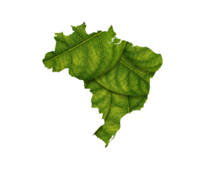 Brazil map made of green leaves, concept ecology Map green leaf on soil background
