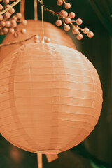 The paper cage lamp, a delicate and intricate creation, has captured the imagination of artists and...