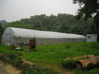 Greenhouses on a rural farm, showcasing sustainable agriculture and the cultivation of crops in controlled environments.