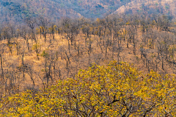 Mountain and Hill in Zambia, Africa