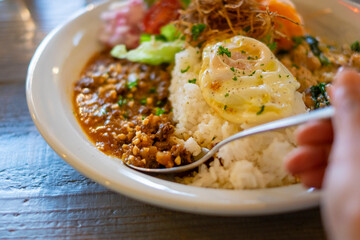 二色のインドカレー
