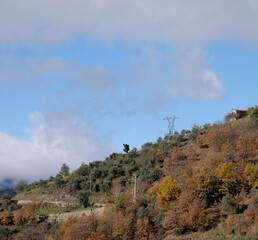 The territory and vegetation in the Lucéram area, France. In the picture, the mountain road with an electric pylon above. 