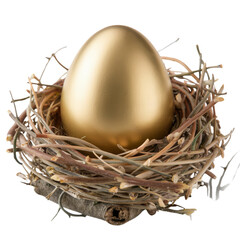 Fototapeta premium Golden Egg in Nest: A single, gleaming golden egg rests in a woven nest, symbolizing prosperity, opportunity, and the potential for growth.
