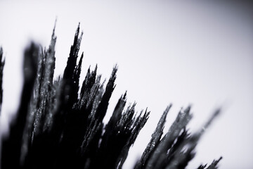 Reaction of iron dust to a magnetic field. Iron filings spikes. Neodymium magnet. Isolated on white background.
