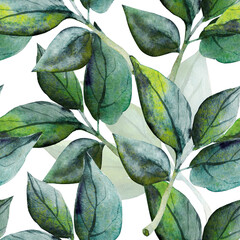 Laurel tree branches.Watercolor.Pattern seamless. Image on white and color background.
