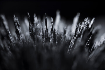 Reaction of iron dust to a magnetic field. Iron filings spikes. Neodymium magnet. Isolated on a...