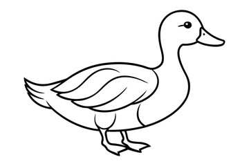 A duck line art vector illustration1.eps