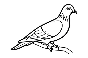 A pigeon line art vector illustration.eps