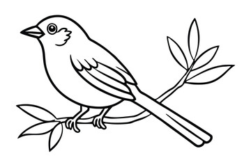 A small bird line art vector illustration.eps
