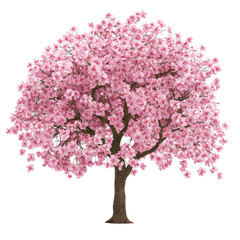 Obraz premium Blossoming Cherry Tree in Full Bloom Celebrating the Beauty of Spring Season