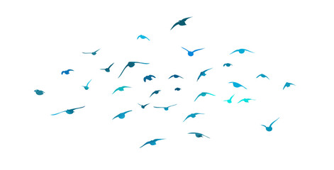 blue birds. A flock of flying blue birds. hand drawing. Not AI. Vector illustration.