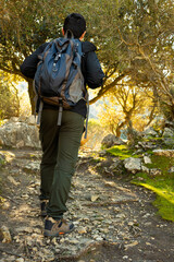 Naklejka premium Vertical image of young man hiker with jacket and backpack on a mountain on a rocky path amidst trees