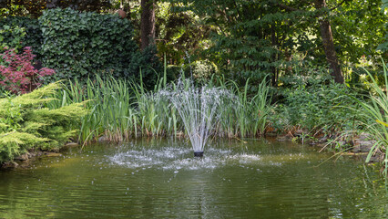 Magical garden pond with cascading fountain against blurred