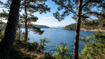 Serene coastal scene with tall pine trees framing the ocean and a distant view of a bridge