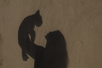 Una toma de cerca de la silueta de una mujer adulta reflejada en la pared