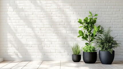 A stylish corner with a white brick wall, hardwood flooring, and bold green plants in chic black planters.