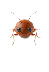 3D Chibi Cockroach Flashcards Clipart. Suitable for animal flashcard, alphabet flashcards, Montessori Flashcards. Isolated on white background