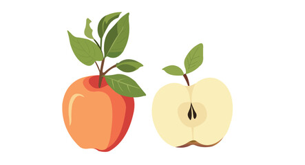 Apple Fruit Vector Illustrator. 