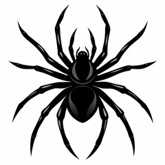 Vector Spider crawling silhouette black top view on white background 