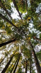 The beauty of nature