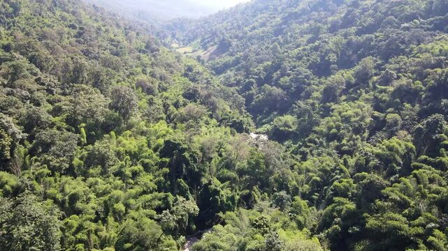 Drone footage of Doi Inthanon National Park in Northern Thailand