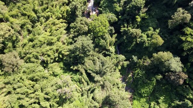 Doi Inthanon National Park, Thailand