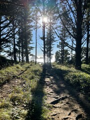 The beauty of nature