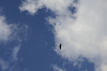 Toma de lejos de unas bellas nubes en un cielo de color azul durante el día