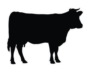 Cow black silhouette isolated on a transparent background