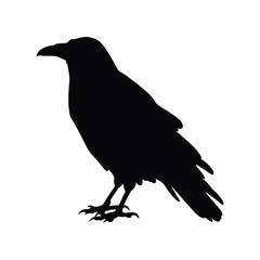 Crow black silhouette vector illustration