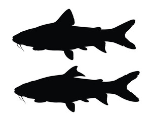 Pangasius catfish black silhouette illustration