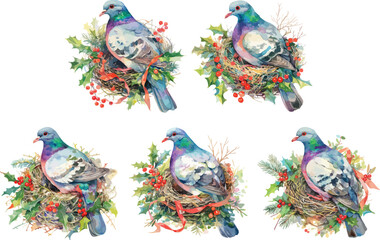 christmas pigeon in nest watercolor clipart