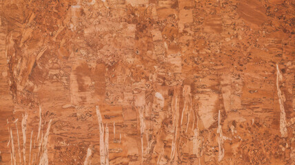 A textured close-up of warm-toned cork bark, showcasing intricate natural patterns and earthy hues.