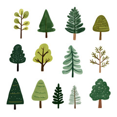 Fototapeta premium Fir tree pattern illustration with green foliage for winter holiday design