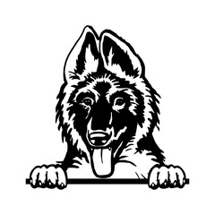 Peeking Puppy Belgian Malinois - Dog Breed, Puppy Breed Vector File, detailed vector