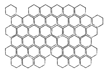 Propolis Honey comb. Honeycomb structure. Honey, pollen, wax, parchment and bee products in sketch style. Stock vector illustration isolated on a white background.